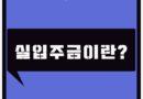 고양 일산 파주 김포 부동산 집구하기 신축빌라 복층빌라 분양 매매 실입주금이란