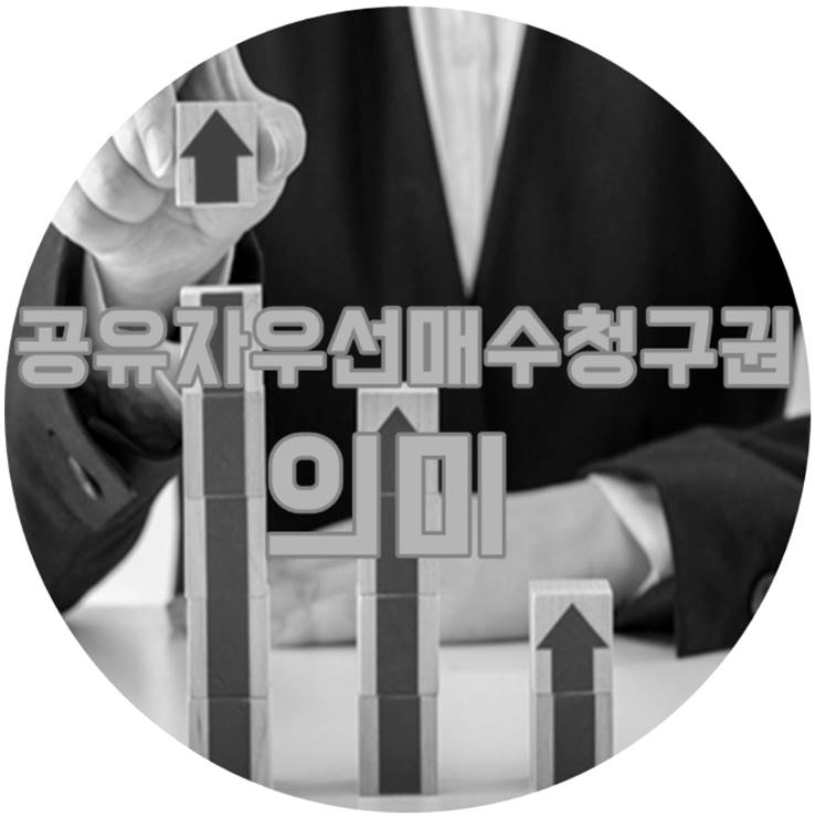 공유자우선매수청구권 이란 뜻 공유지분 토지 분할 여부 현물분할 안데면 대금분할 2 공유자우선매수청구권